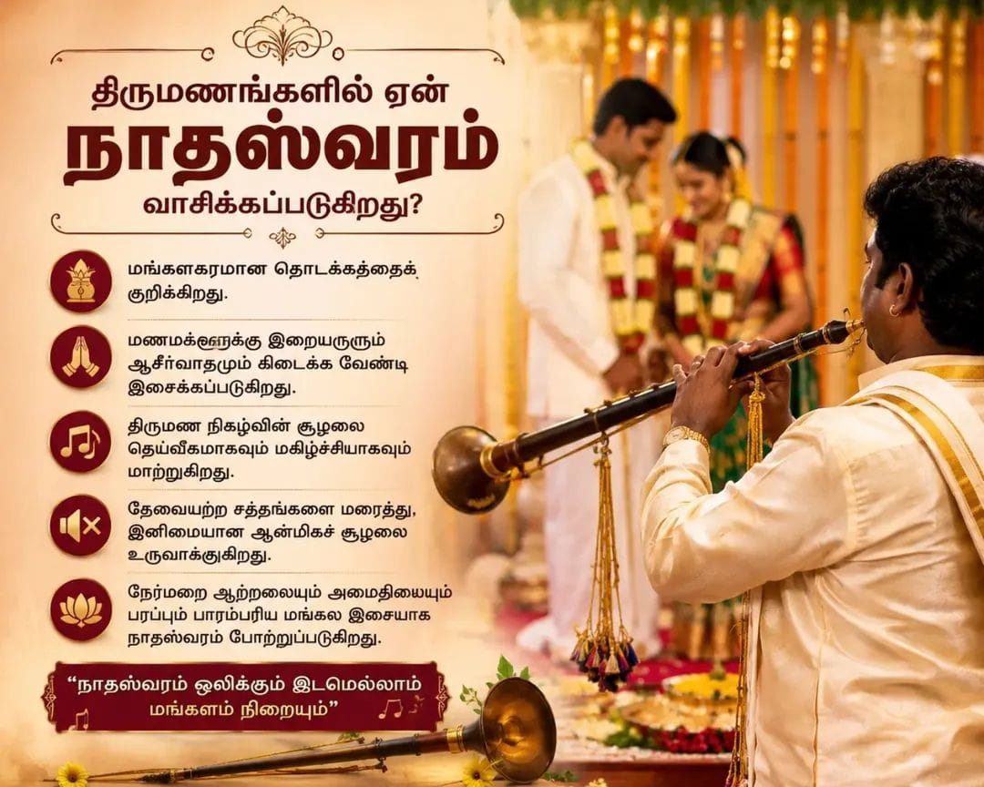 Infographic in Tamil: why the Nadaswaram is played at weddings